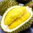 Sầu riêng Monthong (DONA) loại 1 thơm ngon